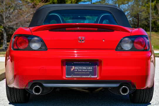 Back view